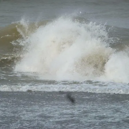 Le Petit Clos Nyaraló *