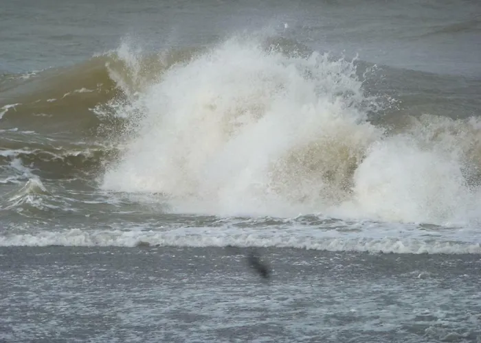 Le Petit Clos Dom wakacyjny *